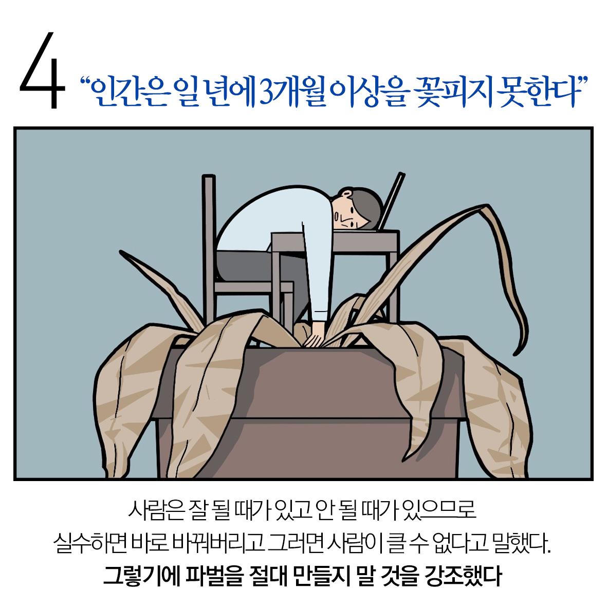 카드뉴스