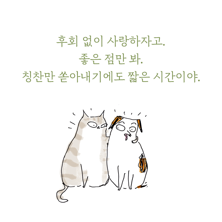 카드뉴스8