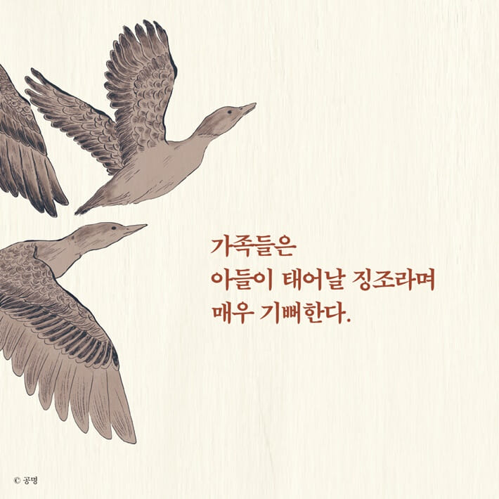 카드뉴스3