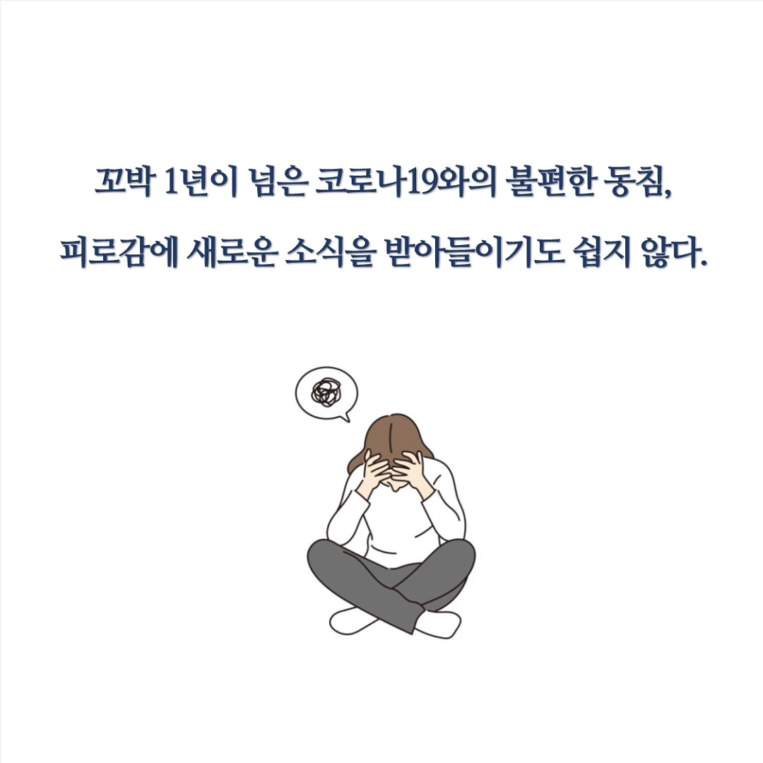 카드뉴스3