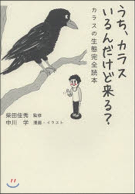 うち,カラスいるんだけど來る? カラスの