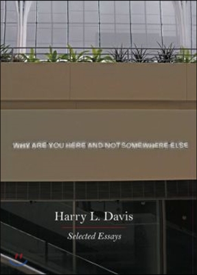 Why Are You Here and Not Somewhere Else: Selected Essays