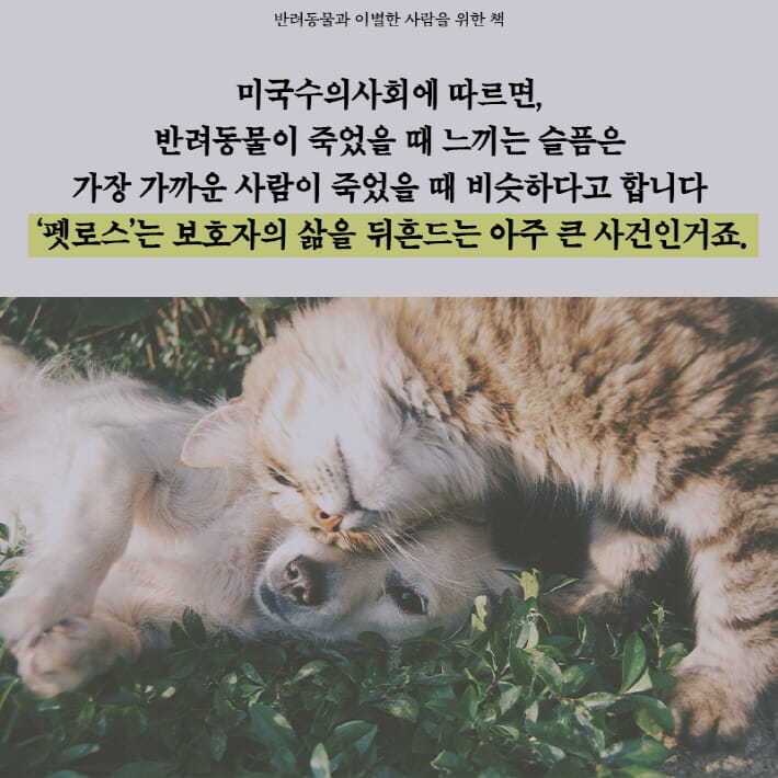 카드뉴스2