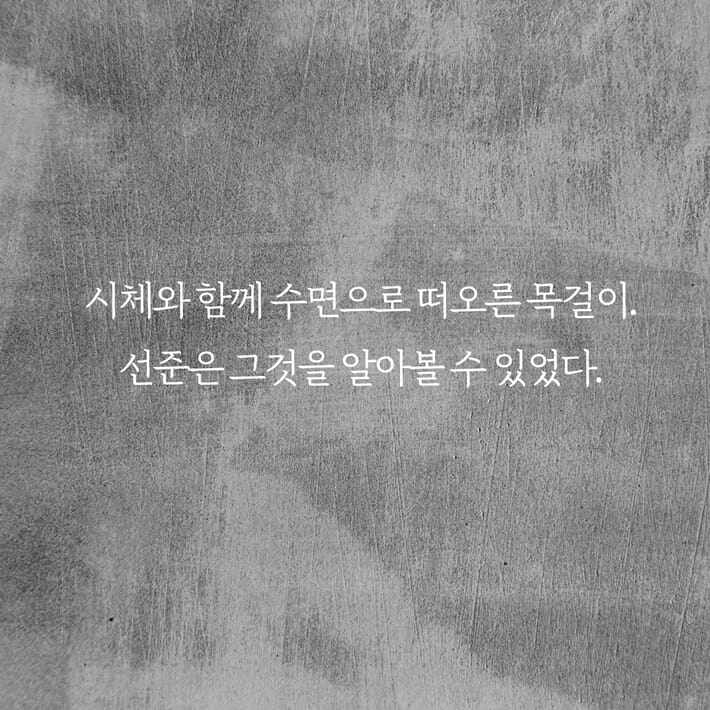 카드뉴스3