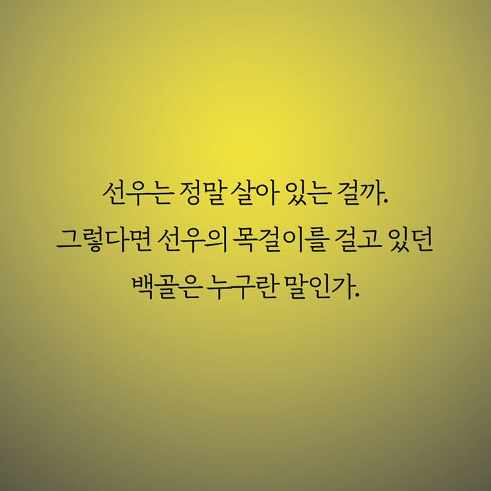 카드뉴스11