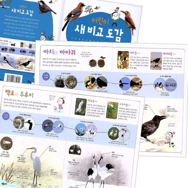 어린이를 위한 비교도감 시리즈(식물, 물고기.새,곤충) / 5권 세트