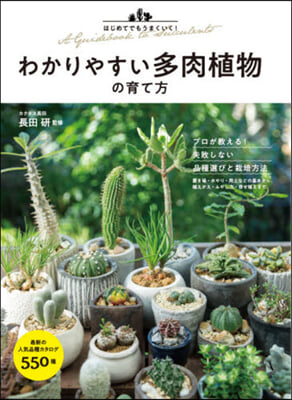 わかりやすい多肉植物の育て方