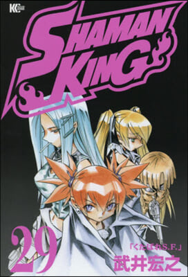 SHAMAN KING 29