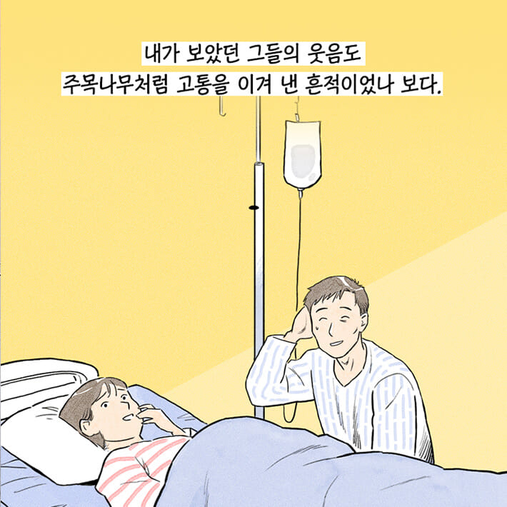 카드뉴스