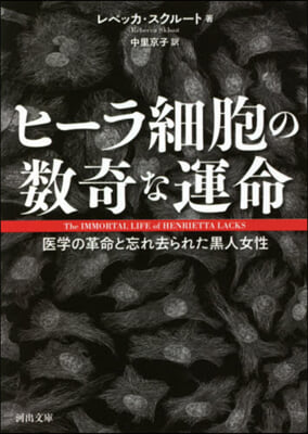 ヒ-ラ細胞の數奇な運命