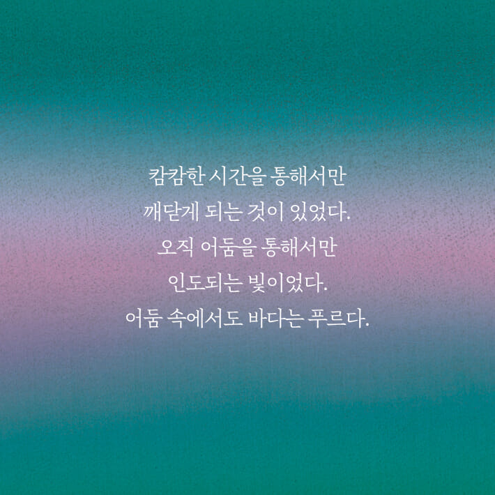 카드뉴스8