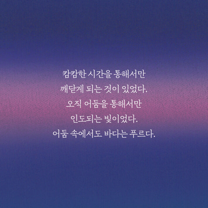 카드뉴스8