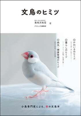 文鳥のヒミツ