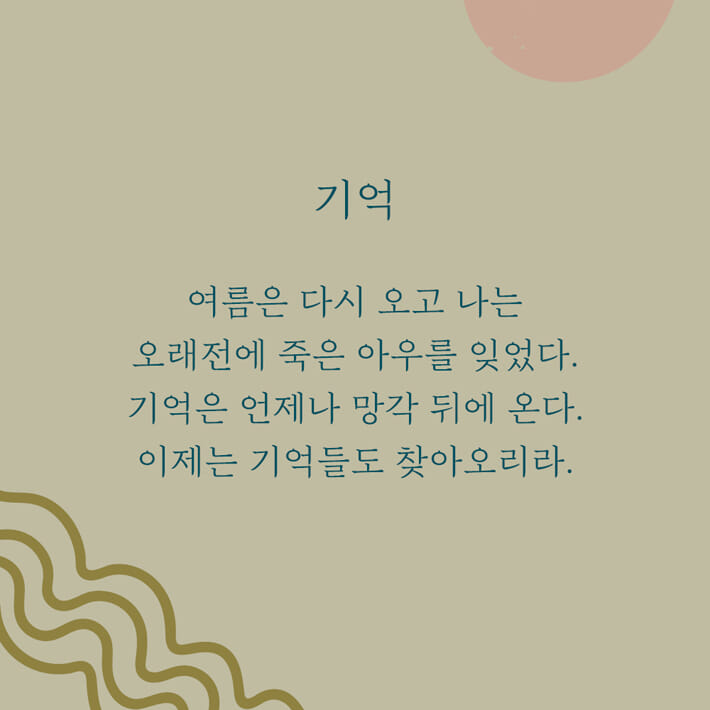 카드뉴스6