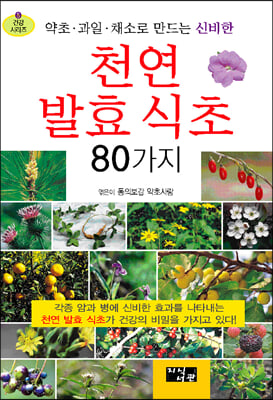 천연 발효 식초 80가지(약초 과일 채소로 만드는 신비한)(건강시리즈 5)