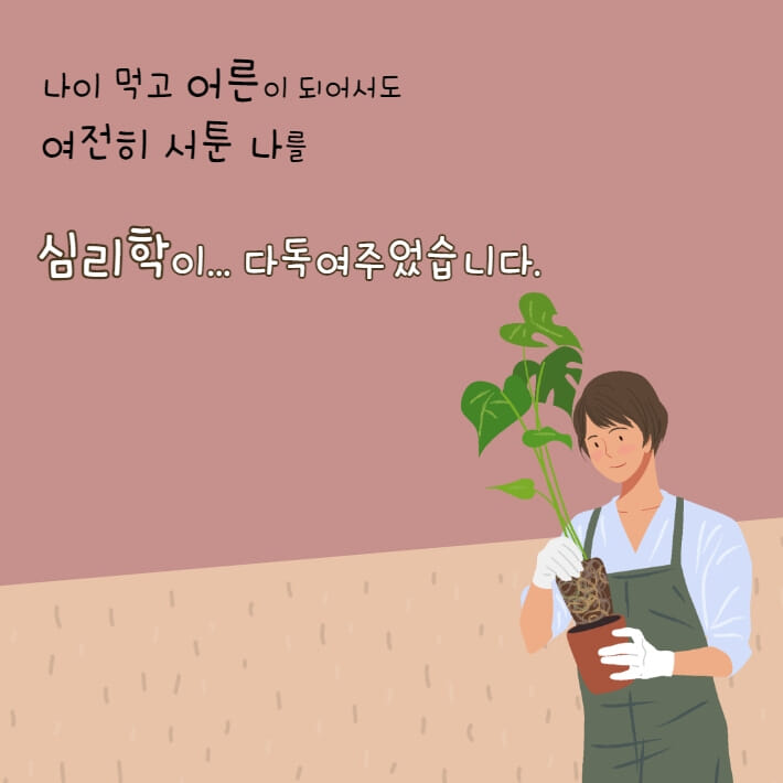 카드뉴스24