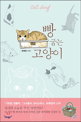 빵 굽는 고양이