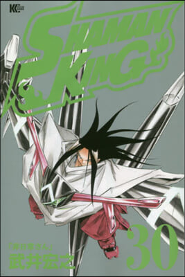 SHAMAN KING 30