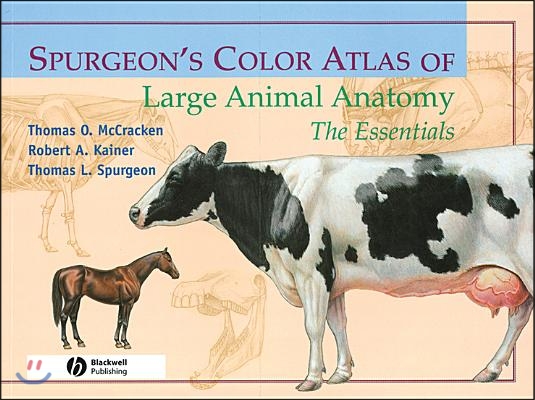 Spurgeon&#39;s Color Atlas of Large Animal Anatomy: The Essentials