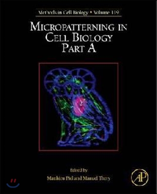 Micropatterning in Cell Biology, Part a: Volume 119