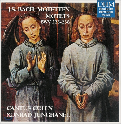 바흐 : 모테트 BWV 225 ~ 230 - 칸투스 퀸른, 콘라드 융헤넬