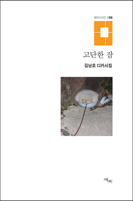 고단한 잠(애지시선 96)(양장본 HardCover)