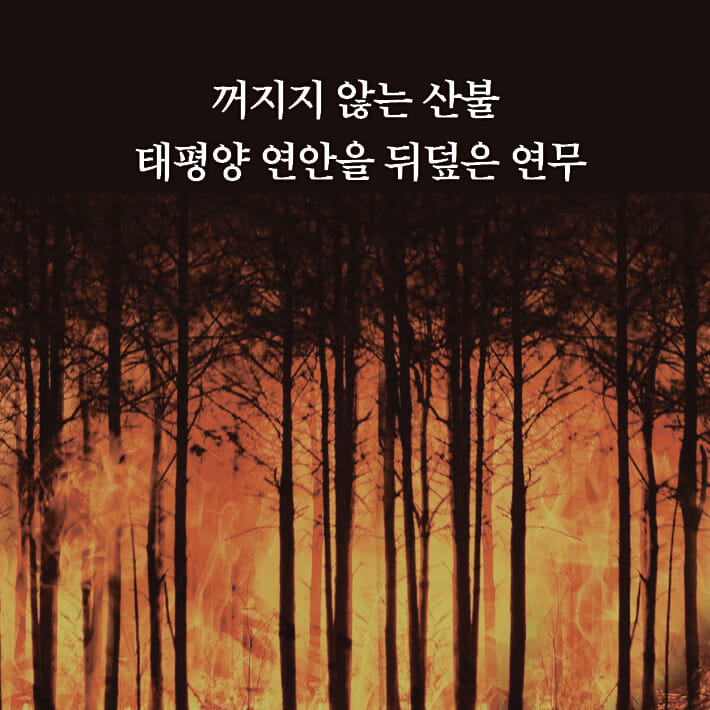 카드뉴스2