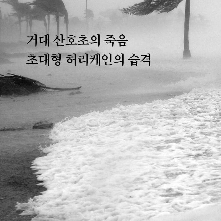 카드뉴스3
