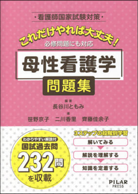 必修問題にも對應 母性看護學問題集