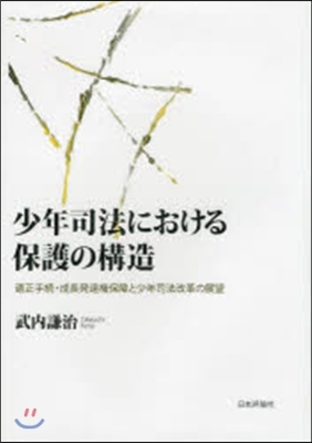 少年司法における保護の構造－適性手續.成