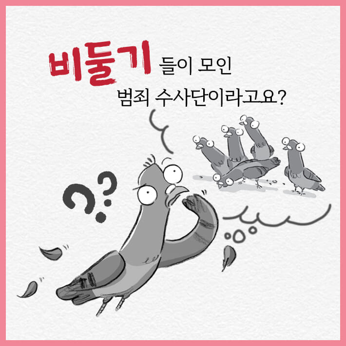 카드뉴스1