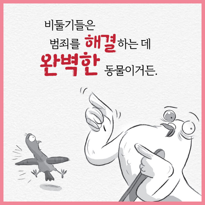 카드뉴스2