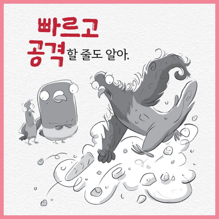 카드뉴스4