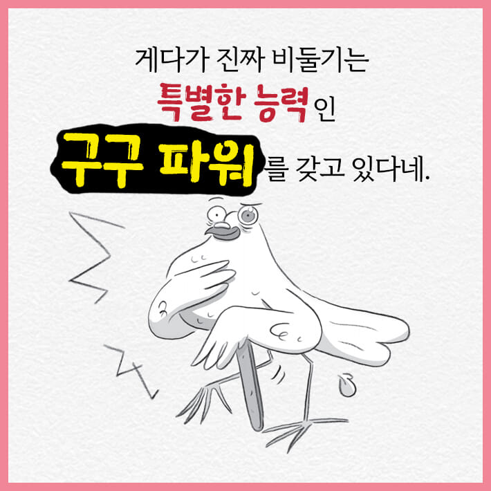 카드뉴스5