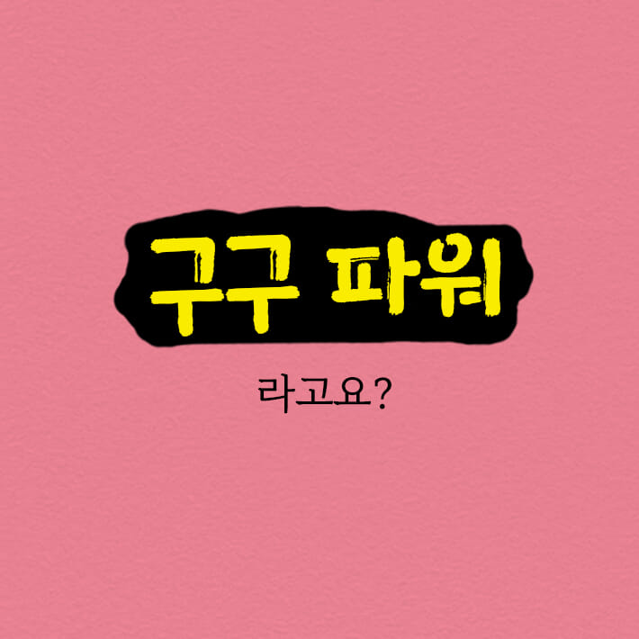 카드뉴스6