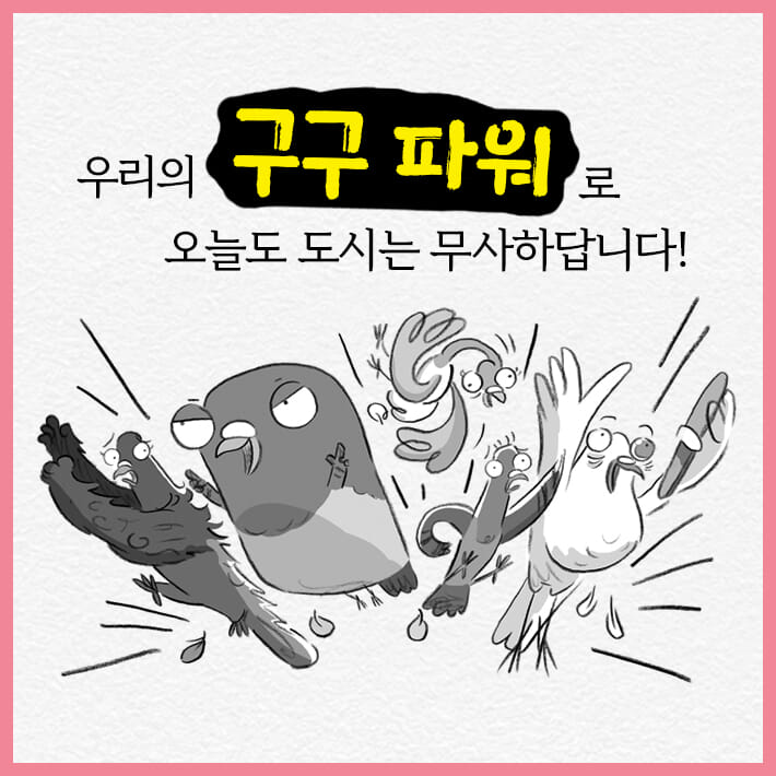 카드뉴스8