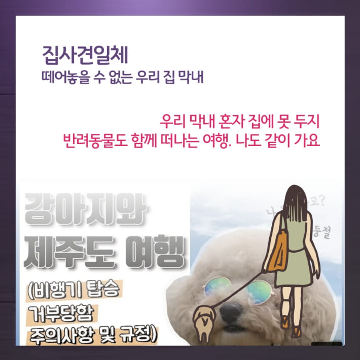 카드뉴스9