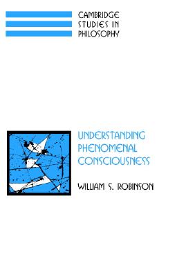 Understanding Phenomenal Consciousness