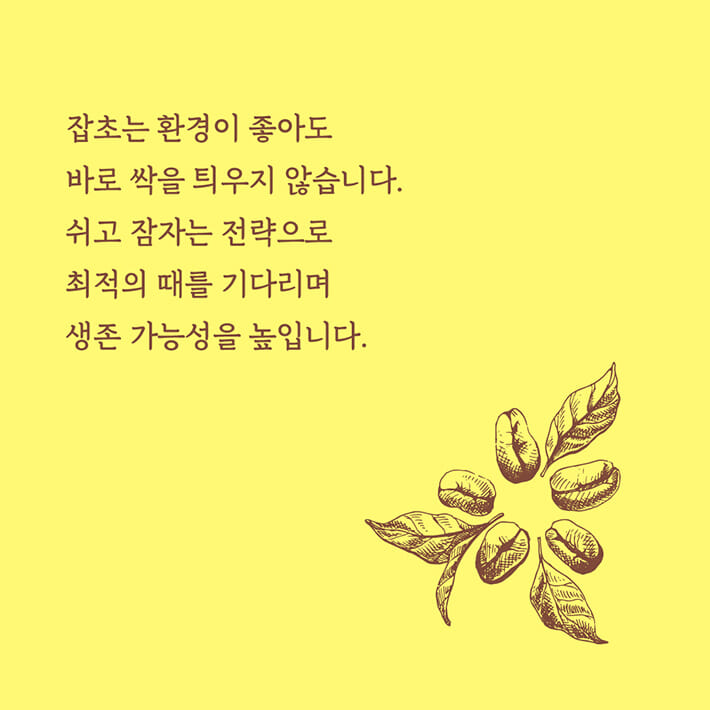 카드뉴스