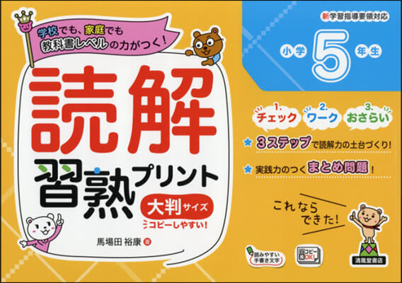 讀解習熟プリント 小學5年生 大判サイズ