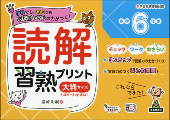 讀解習熟プリント 小學6年生 大判サイズ