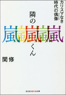 隣の嵐くん カリスマなき時代の偶像