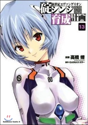 Neon Genesis Evangelion 13