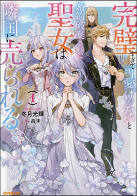 完璧すぎて可愛げがないと婚約破棄された聖女は隣國に賣られる(1)