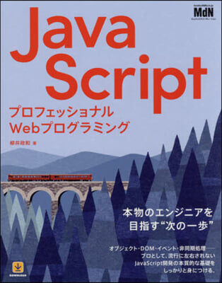 JavaScript