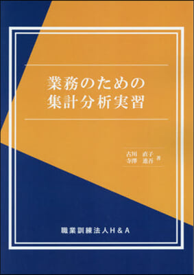 業務のための集計分析實習