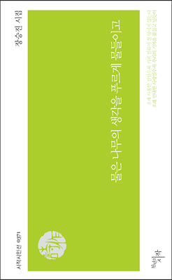 물은 나무의 생각을 푸르게 물들이고