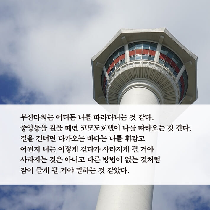 카드뉴스3