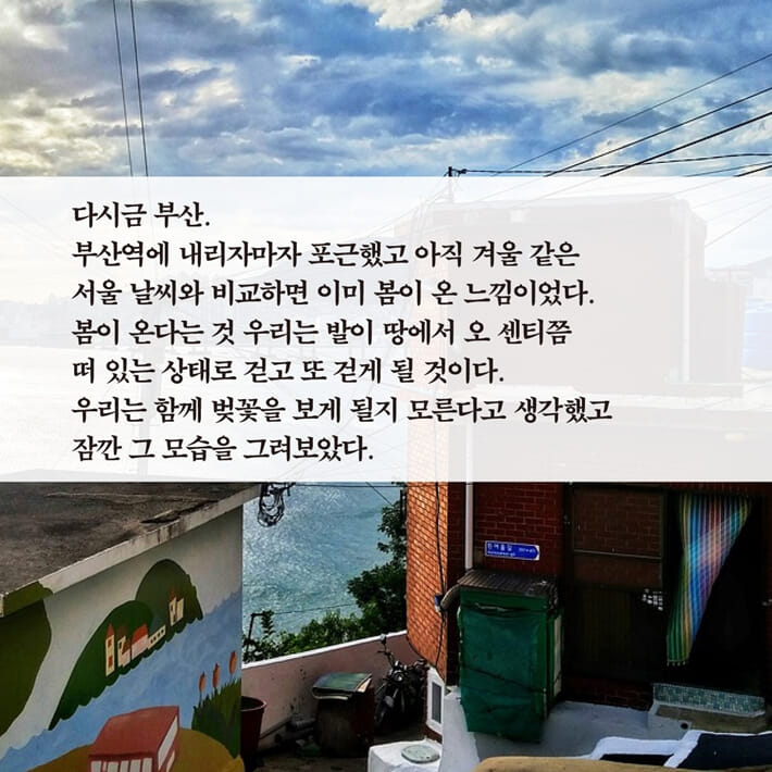 카드뉴스9
