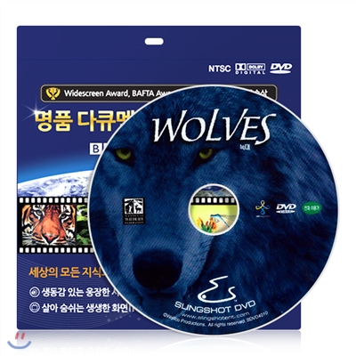 [IMAX 다큐멘터리] 늑대 DVD / 초슬림케이스 / 영,한 더빙 / 영,한 자막